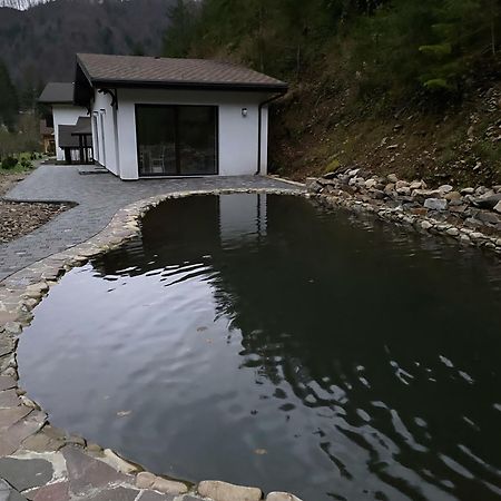 Cottage house Mizhhirya  外观 照片