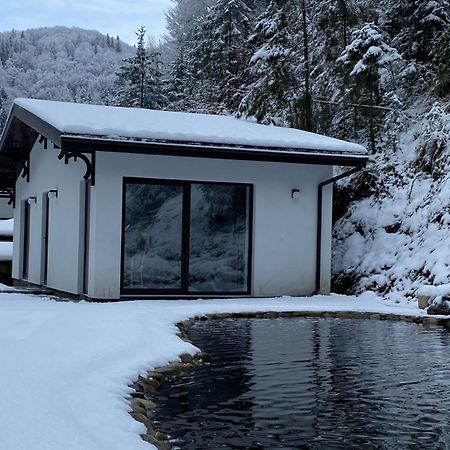 Cottage house Mizhhirya  外观 照片