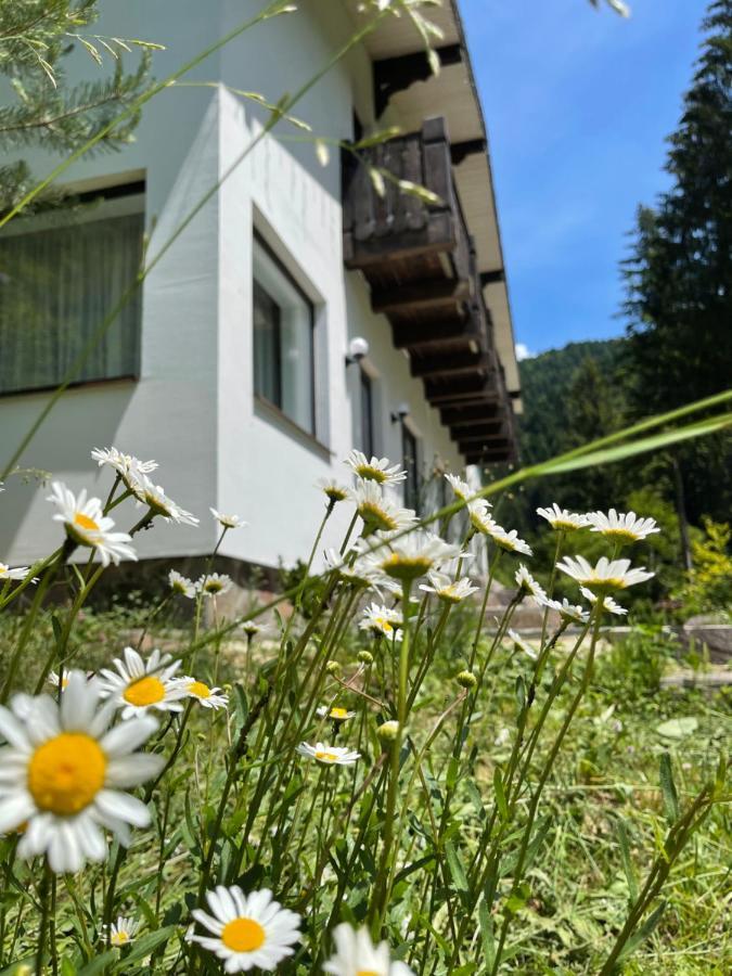 Cottage house Mizhhirya  外观 照片