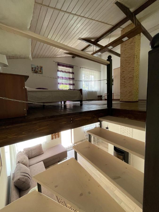 Cottage house Mizhhirya  外观 照片