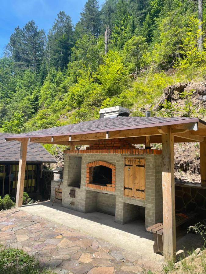 Cottage house Mizhhirya  外观 照片