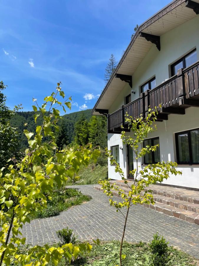 Cottage house Mizhhirya  外观 照片