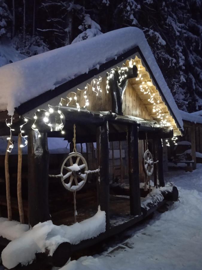 Cottage house Mizhhirya  外观 照片
