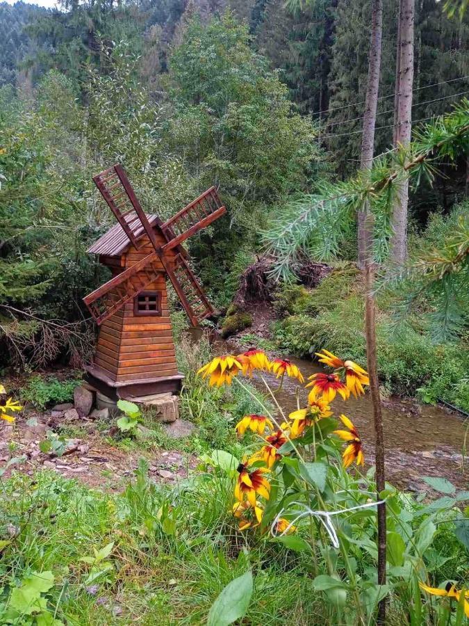 Cottage house Mizhhirya  外观 照片