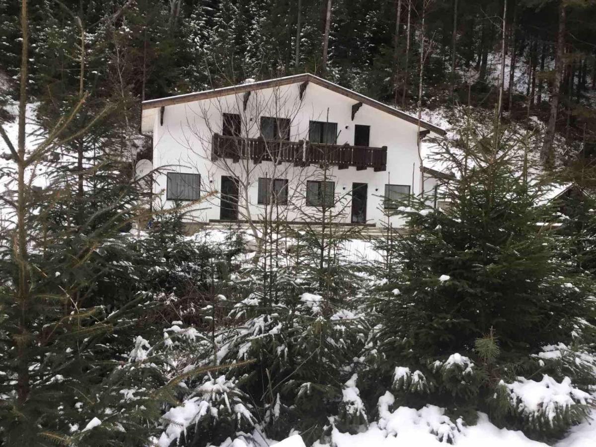 Cottage house Mizhhirya  外观 照片