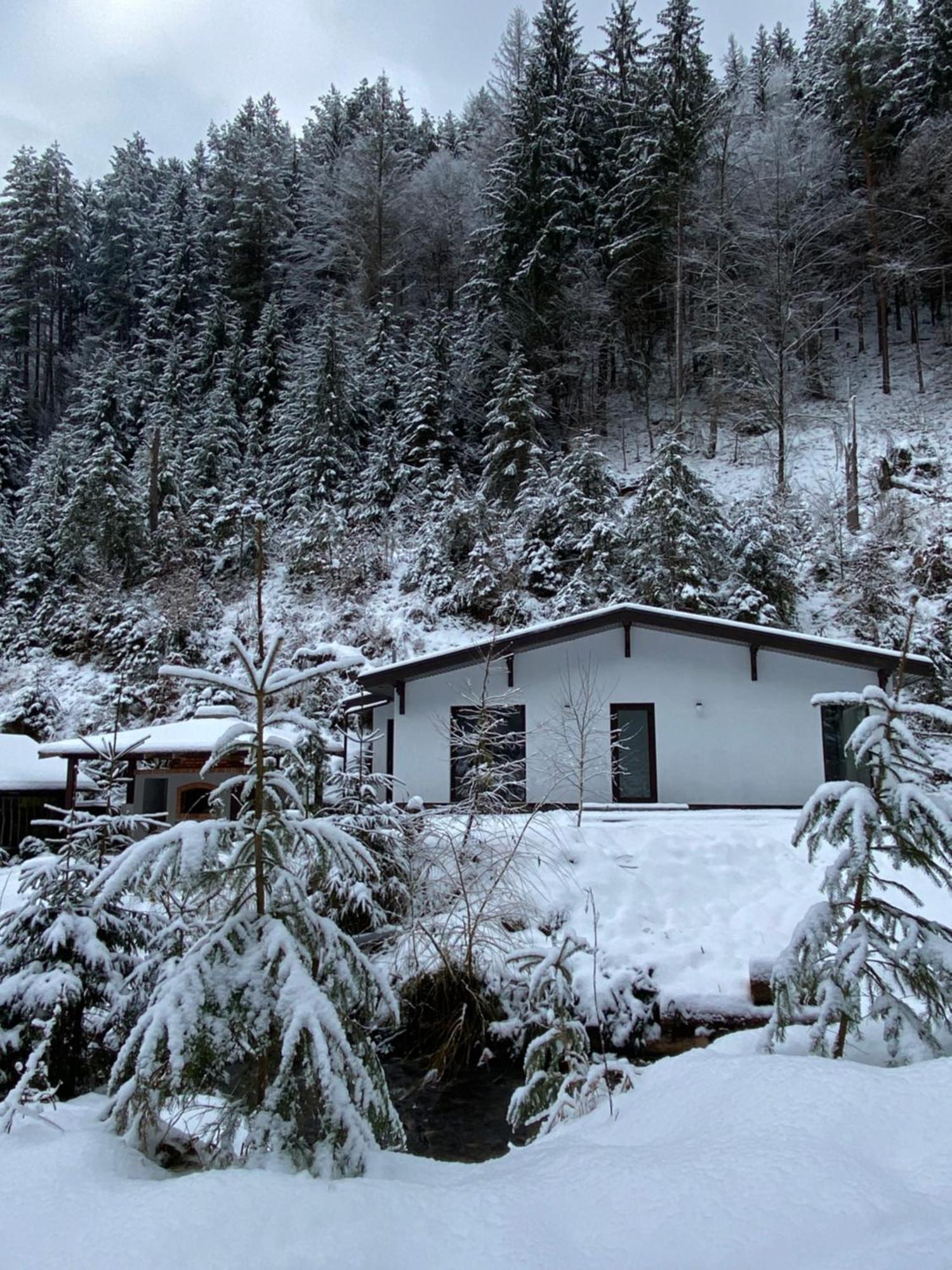 Cottage house Mizhhirya  外观 照片