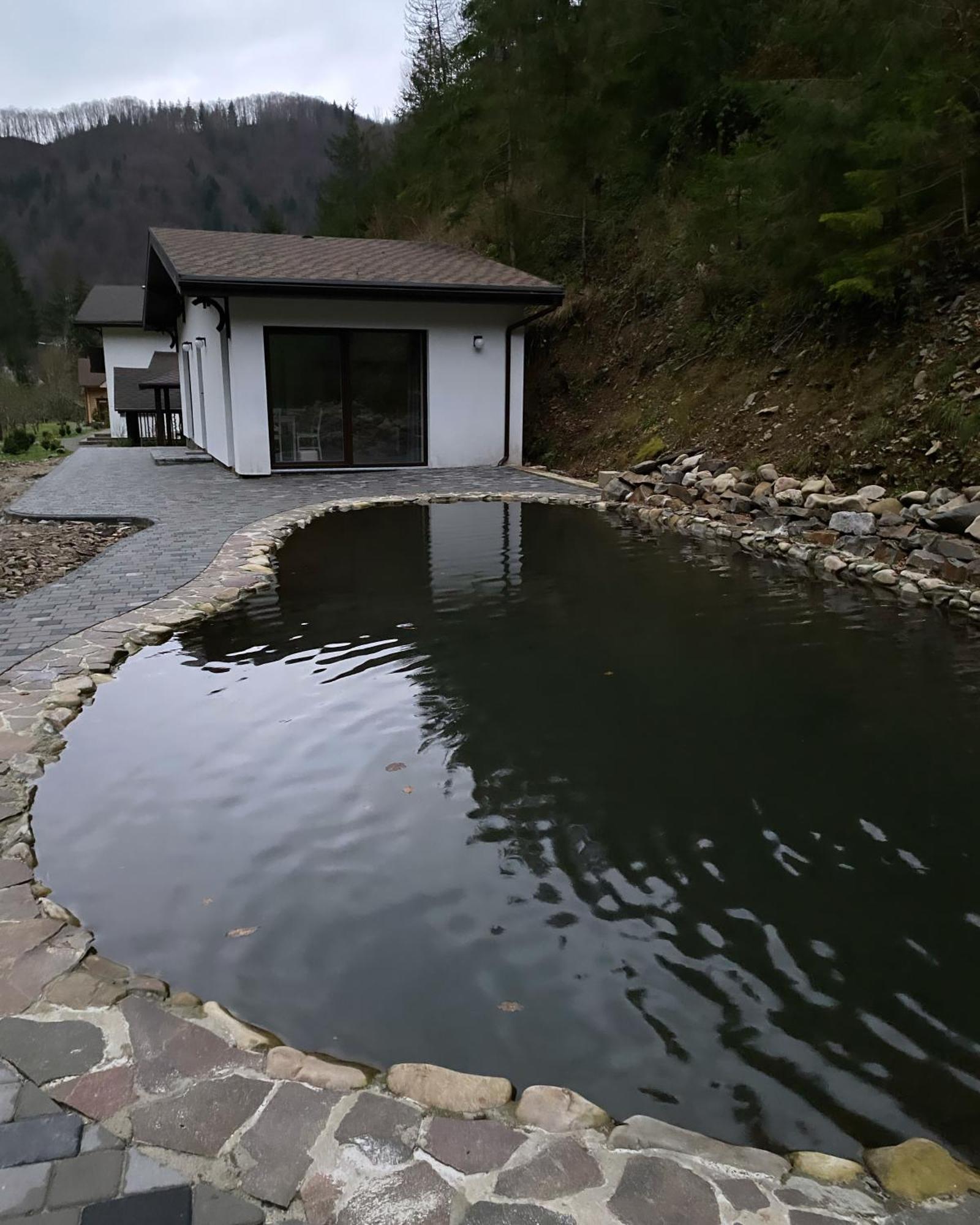 Cottage house Mizhhirya  外观 照片