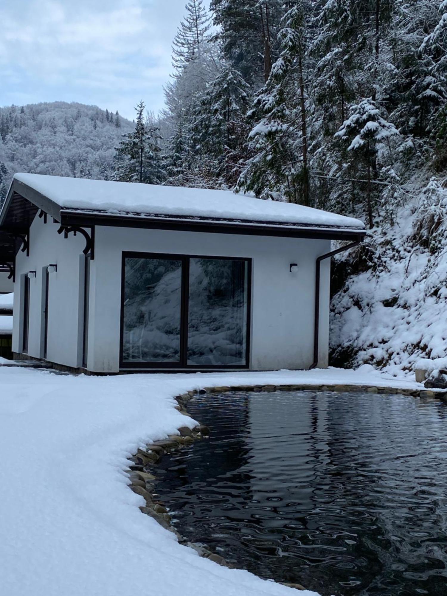 Cottage house Mizhhirya  外观 照片