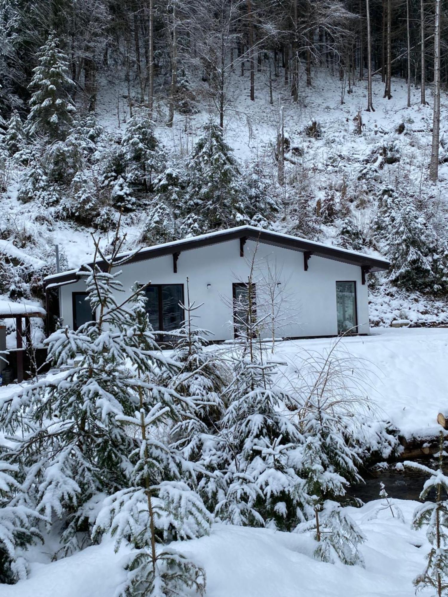 Cottage house Mizhhirya  外观 照片