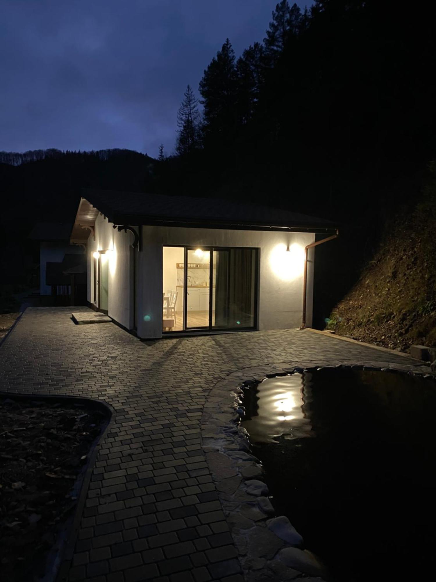 Cottage house Mizhhirya  外观 照片