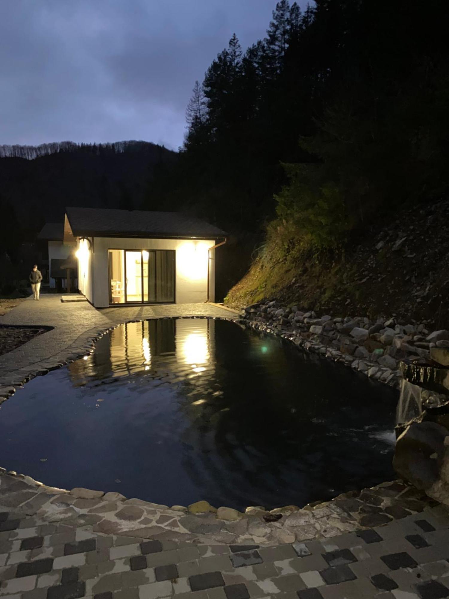 Cottage house Mizhhirya  外观 照片