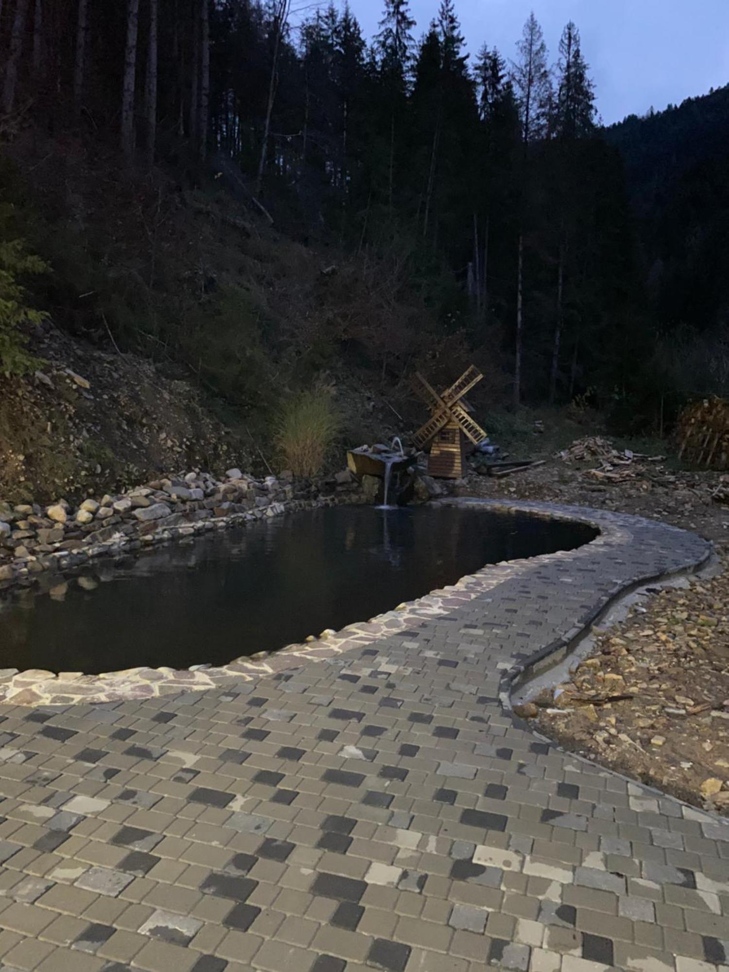 Cottage house Mizhhirya  外观 照片