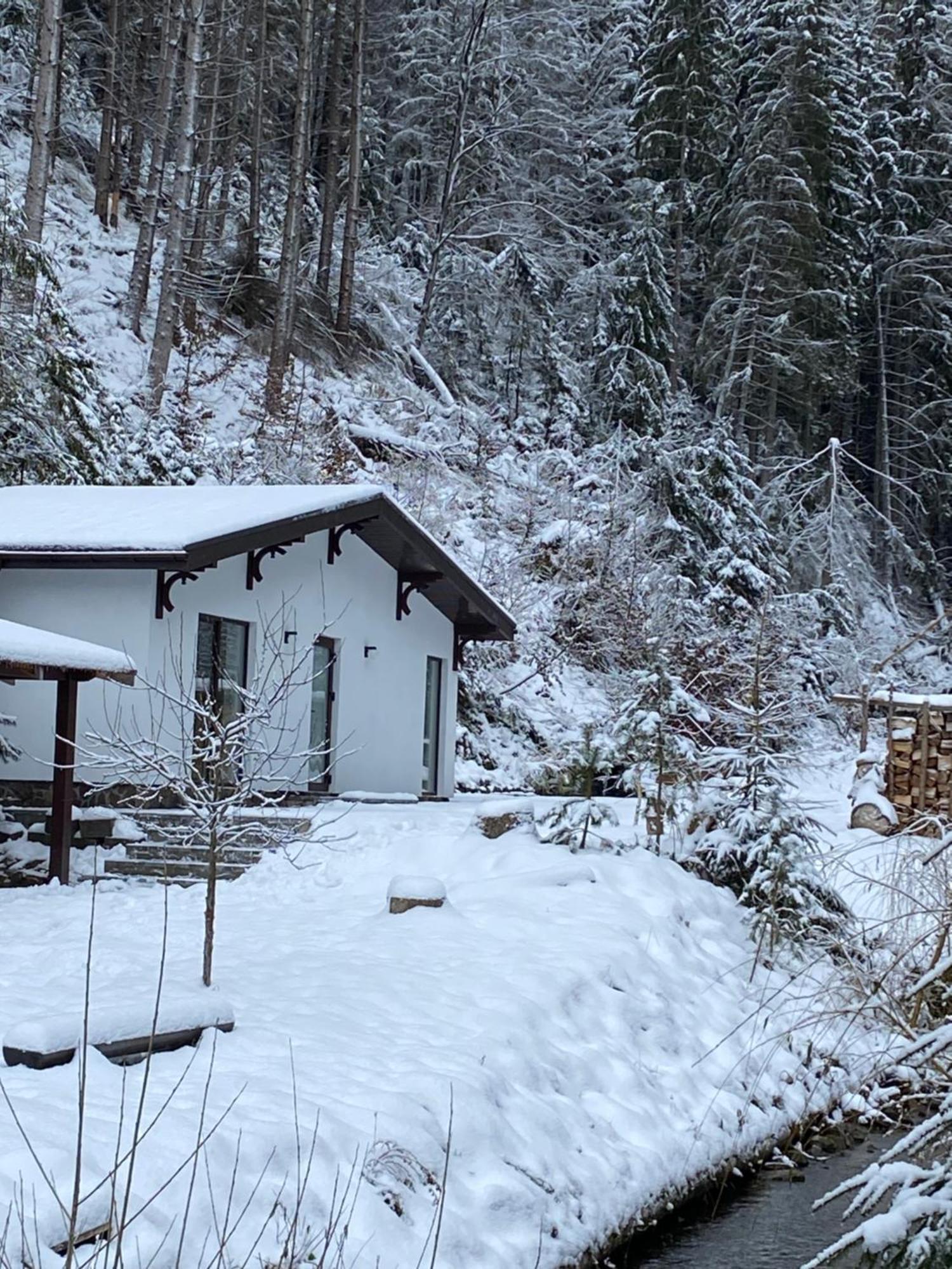 Cottage house Mizhhirya  外观 照片
